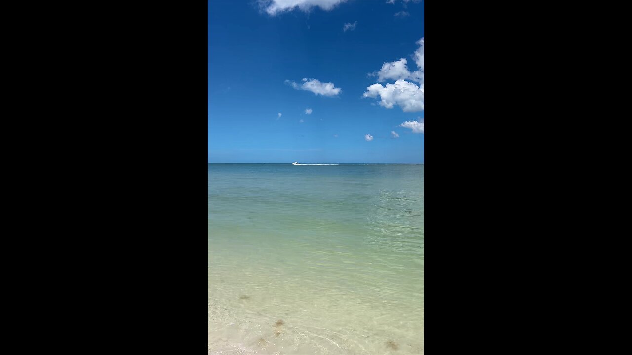 Livestream Replay | In Memory Graham L. Miller Beachwalk | Part 2