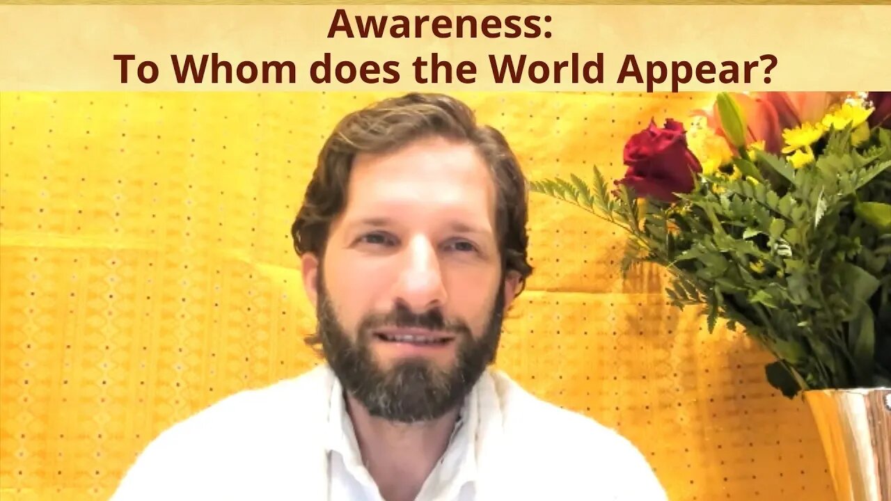 Awareness - To Whom does the World Appear?