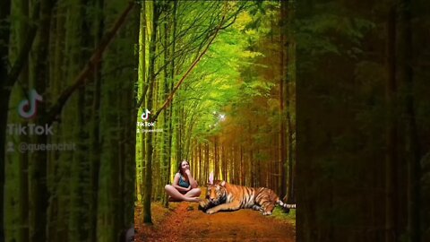 Queen Boss Chit with Lion King