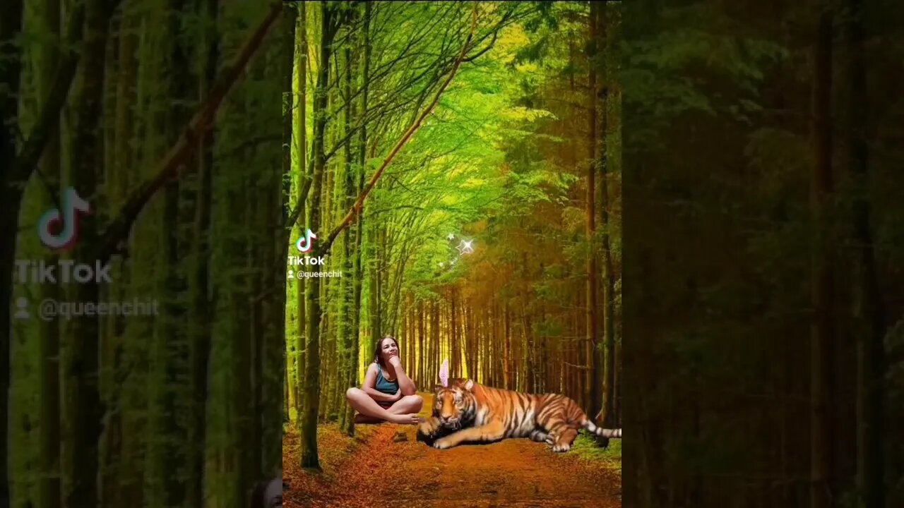 Queen Boss Chit with Lion King