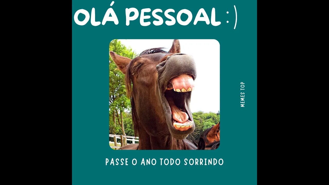 Animais muito divertidos