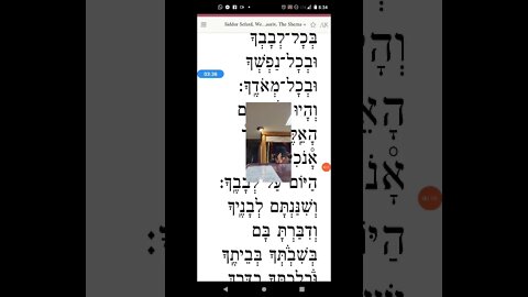 Rabbi Fishbain Jewish Torah teaching