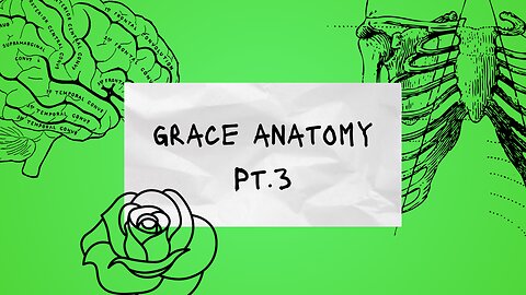 Grace Anatomy Pt.3 (What is grace?)