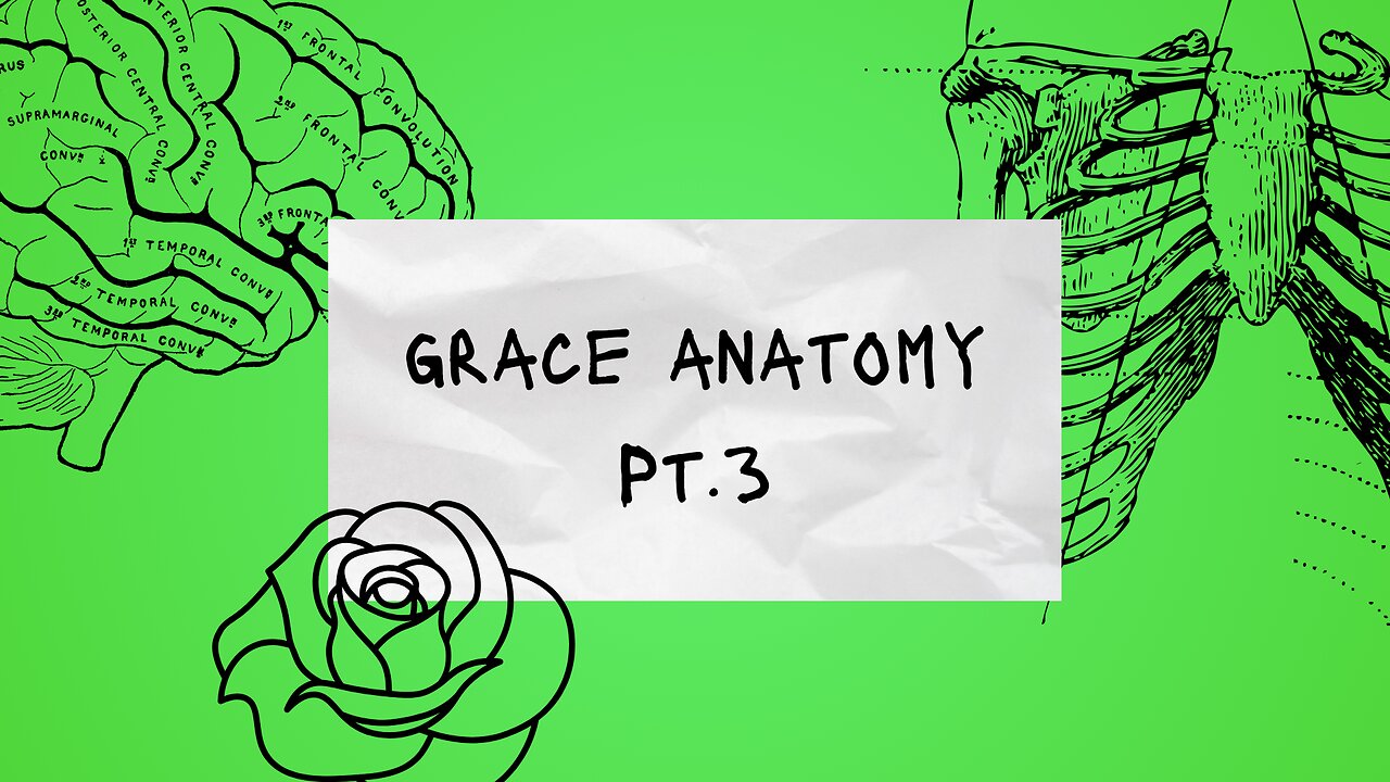 Grace Anatomy Pt.3 (What is grace?)