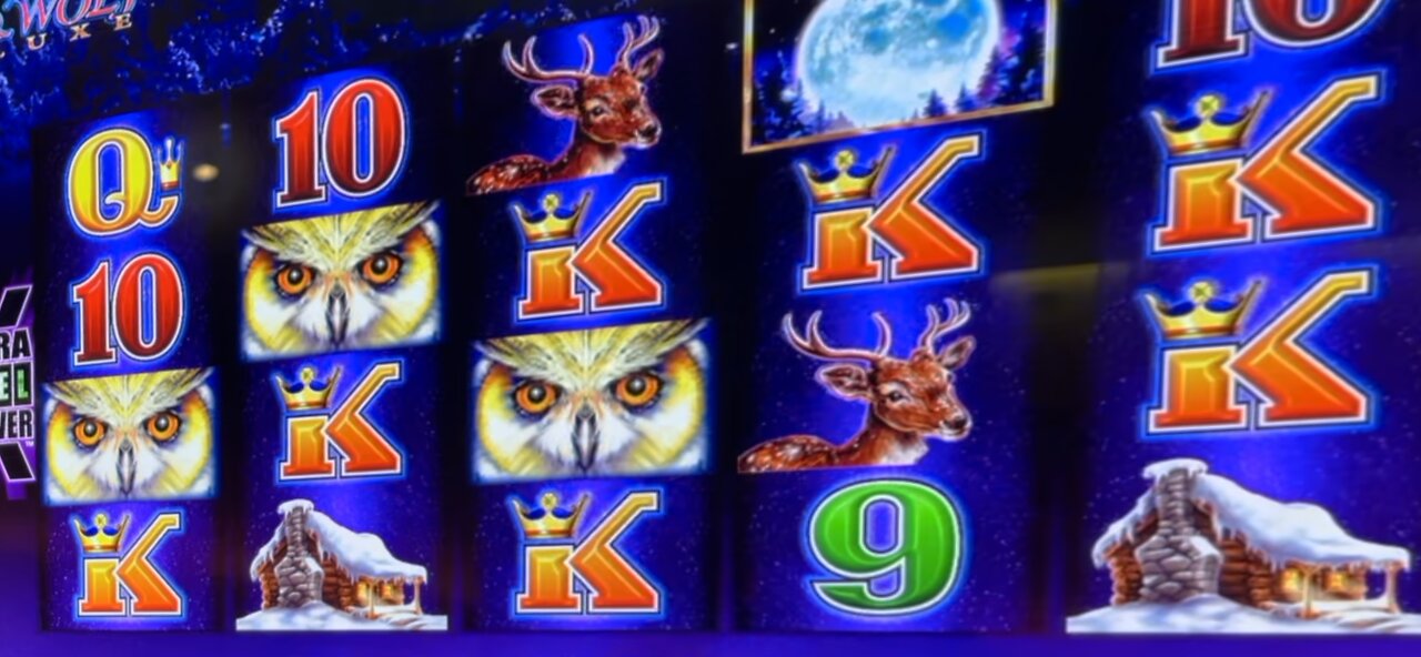 MORE AMAZING TIMBERWOLF DELUXE WINS #slotman #casino #slots #tiktok #timberwolfdeluxe #santaynez