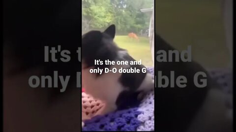 MEME is the one and only D-O double G #shorts