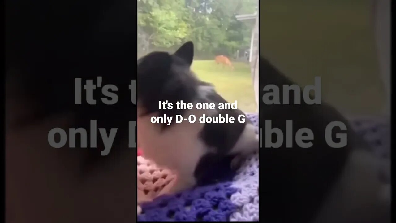 MEME is the one and only D-O double G #shorts