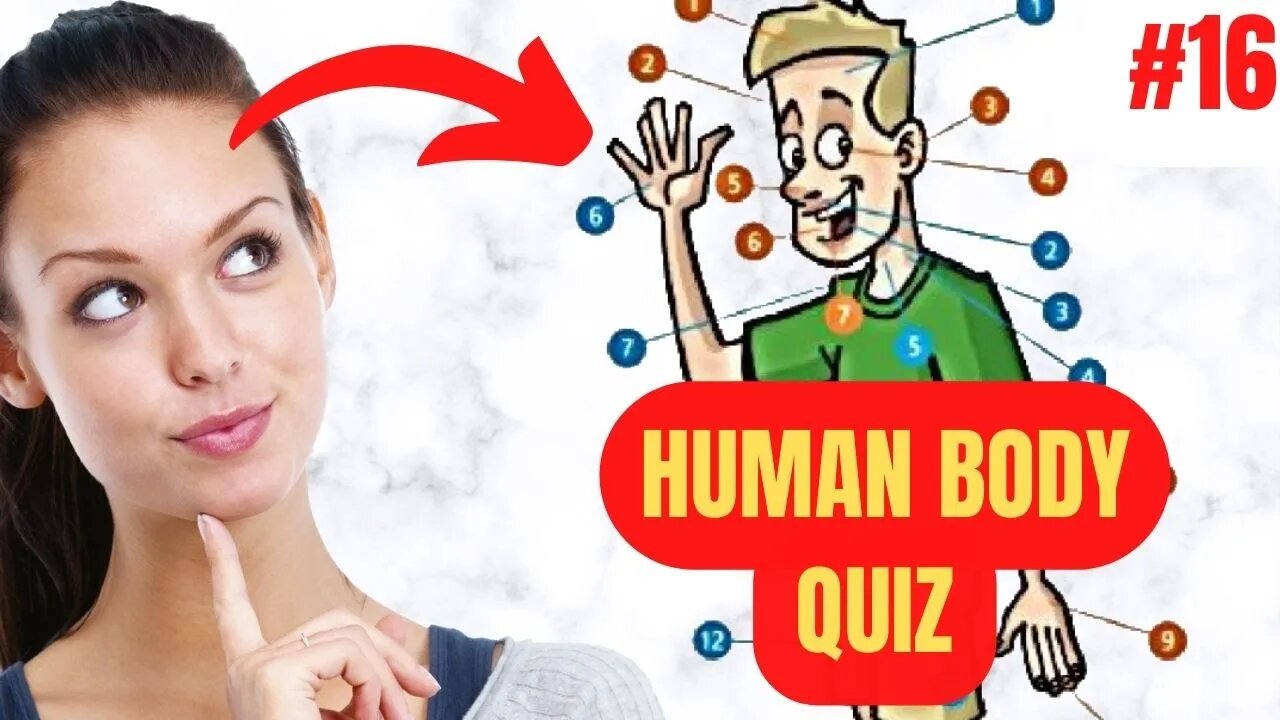 10 Questions about THE HUMAN BODY in 5 Minutes QUIZ #16