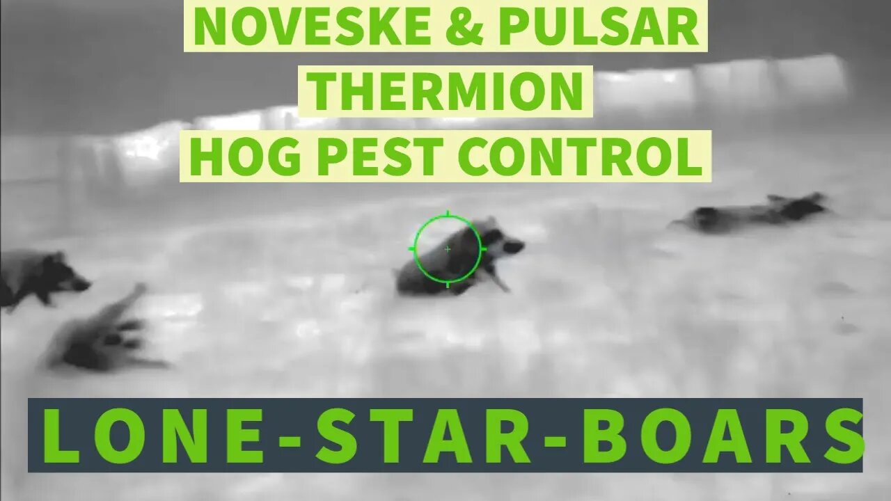 TEXAS FERAL HOG PEST CONTROL NOVESKE N6 WITH THERMION XP50