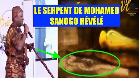 TERRIBLE! Le pasteur vampire Mohamed Sanogo révèle son SERPENT avec lequel il avale des fidèles!