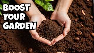 Surprising Ways to Use Coffee Grounds in Gardening!