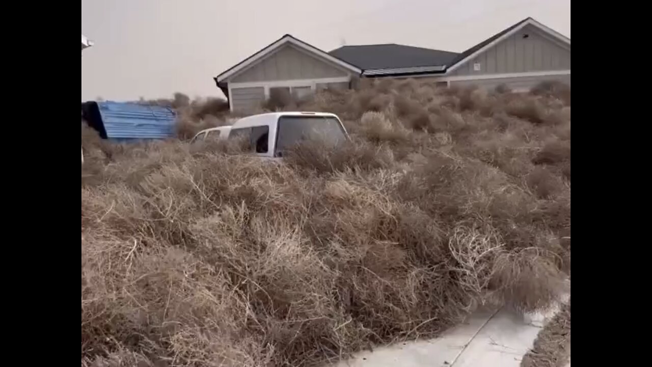 PILES OF TUMBLEWEEDS🌾🏘️🍁🚙🍂TAKES OVER TOWNS IN UTAH🏡🍂🏠🍁💫