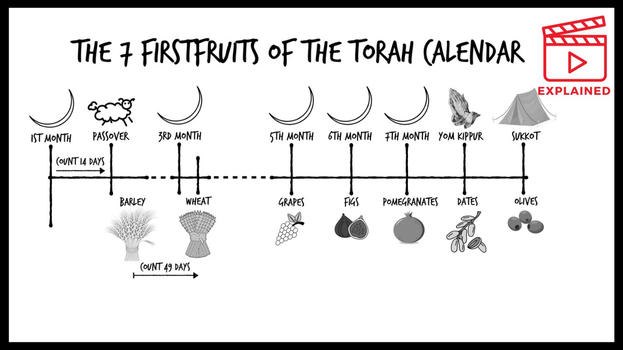 [HIDDEN Blessing] Be the Firstfruits of the End Times Harvest