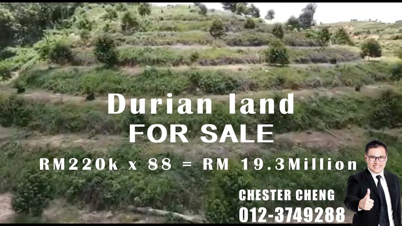 Durian Land *FOR SALE*