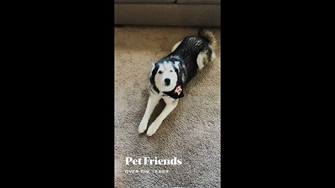 Zee