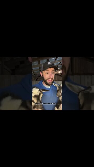 Feeling Glum? You Are Healed. #shorts