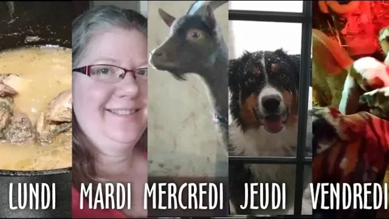 Une SEMAINE TYPIQUE à la FERME, à quoi ca ressemble? - #149