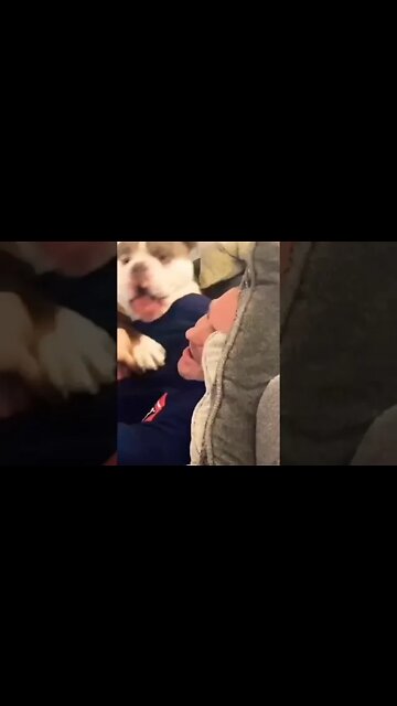 are you serious? 😂😂😂 #shorts #shortsfeed #shortvideo #clips