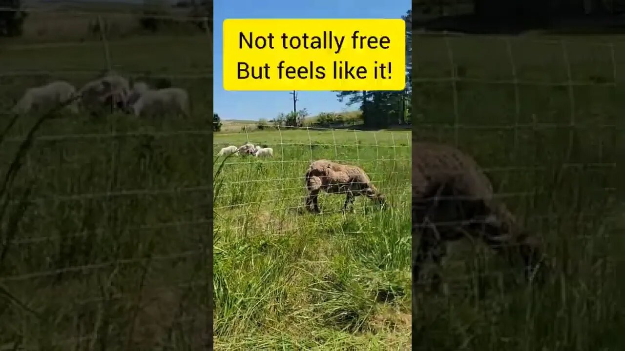 Making Hay While the Sun Shines