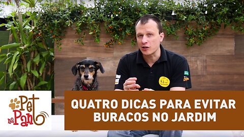 Pet Na Pan #27 - Quatro dicas para evitar buracos no jardim