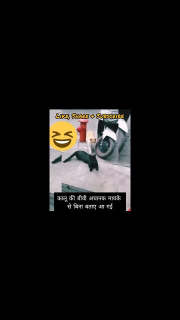 Bechara Kalu Fans Gya - Funny Video (बेचारा कालू फंस गया)
