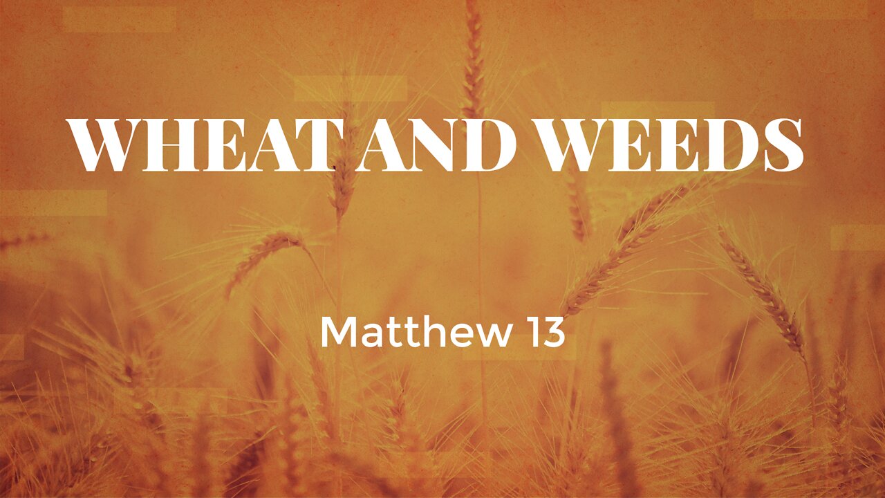 Wheat and Weeds - Pastor Jeremy Stout