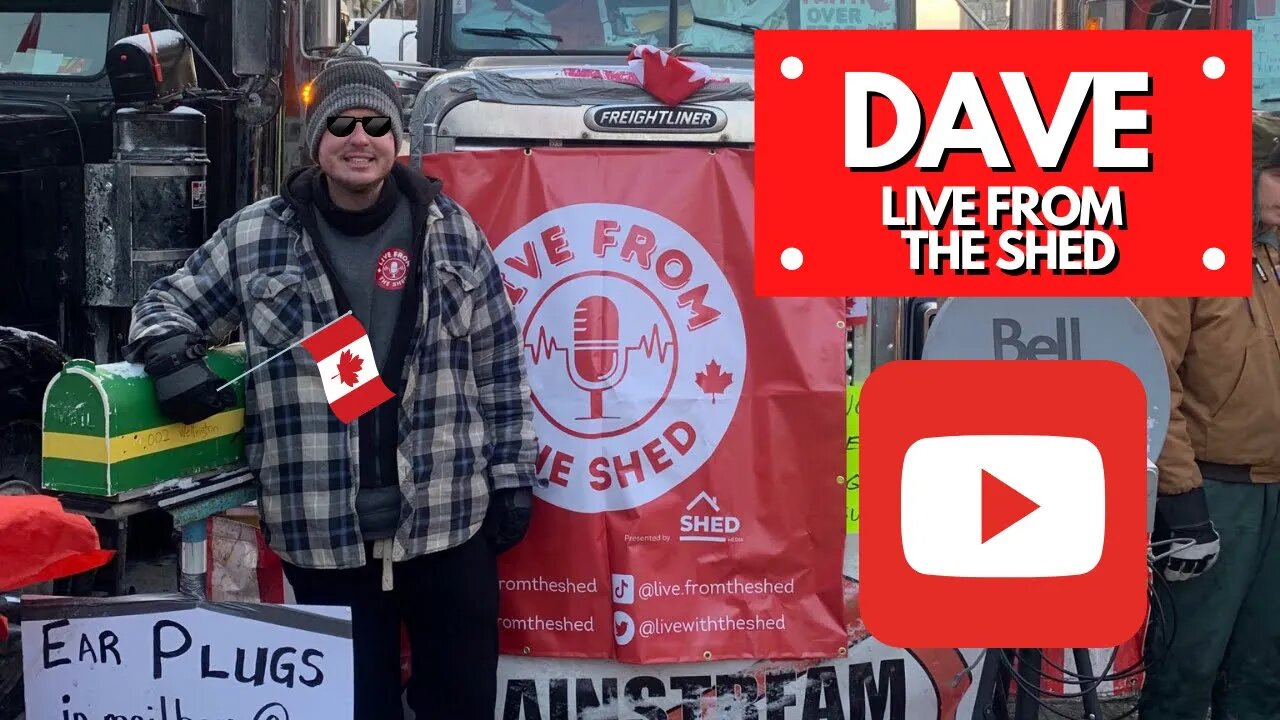 LIVE Interview With Dave "Live From The Shed"