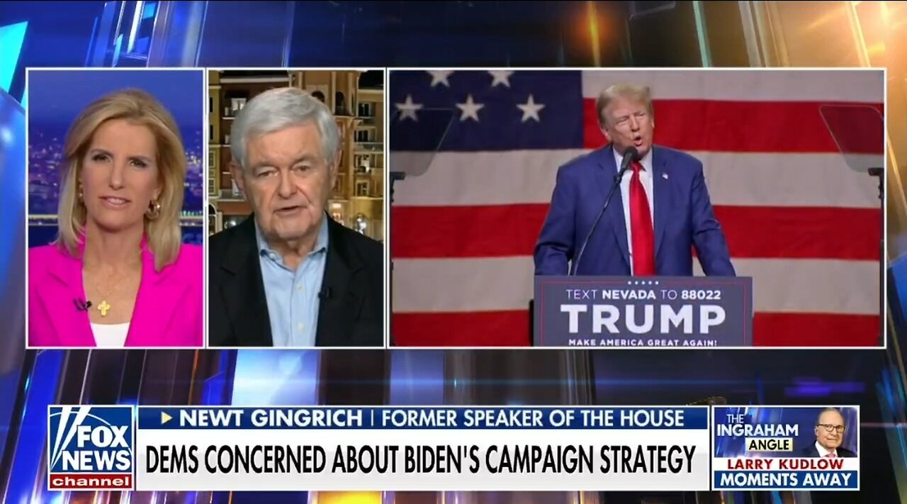 Newt Gingrich: This Is What Republicans Have To Worry About