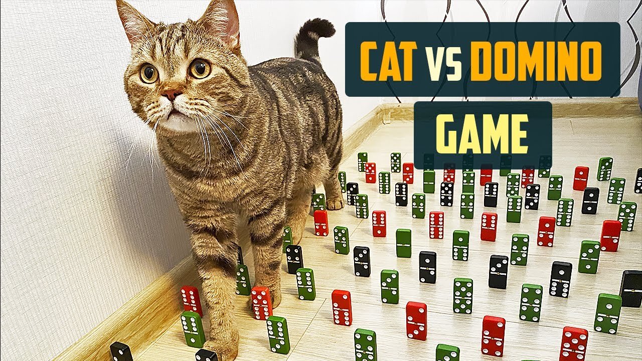 Cats Obstacles Challenge Domino Game 6 Levels