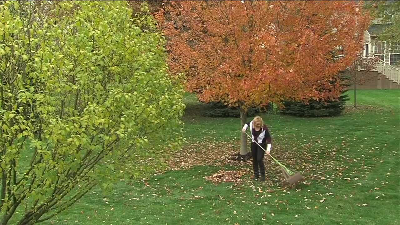 Leave the leaves alone