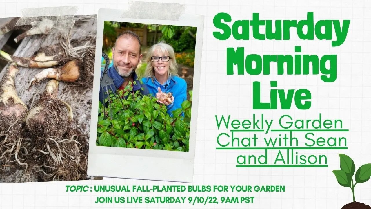 Unusual Fall-Planted Bulbs | Saturday Morning LIVE Garden Chat 😃☕