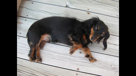 Sammy's "Beautiful Story"