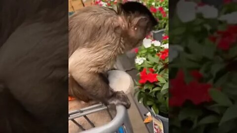 My Friend left so I went shopping!!! Wait till the end she made it home safe!!