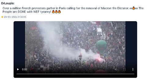 Over a million French protesters gather in Paris calling for the removal of Macron the Dictator.