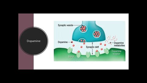 Dopamine - Know your neurotransmitter - Holistic healing