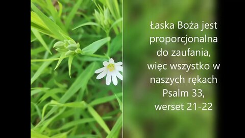 Łaska Boża jest proporcjonalna do zaufania , więc wszystko w naszych rękach Psalm 33-werset 21-22