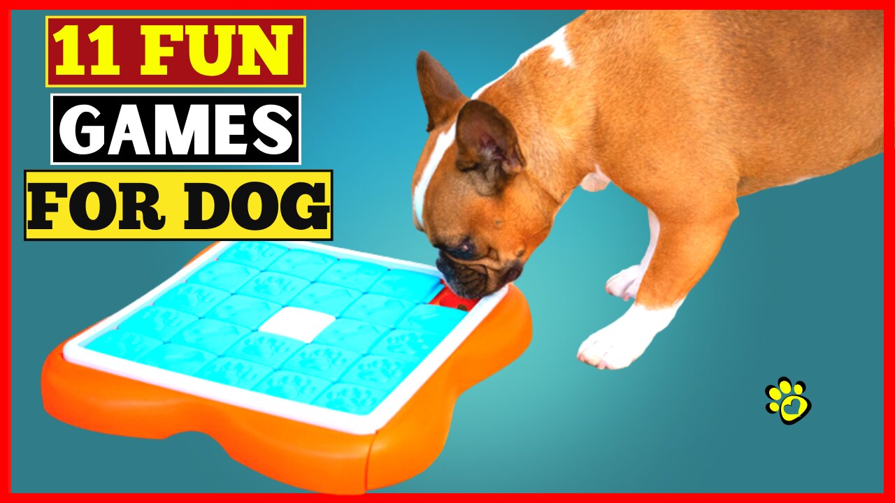 11 Fun Games To Play With Your Dog