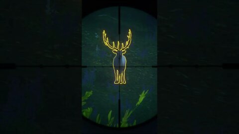 BACK to BACK💎 Rocky Mountain Elk Diamonds - theHunter Call of the Wild #shorts