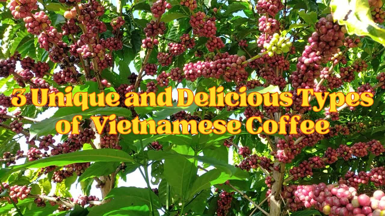 3 Unique and Delicious Types of Vietnamese Coffee