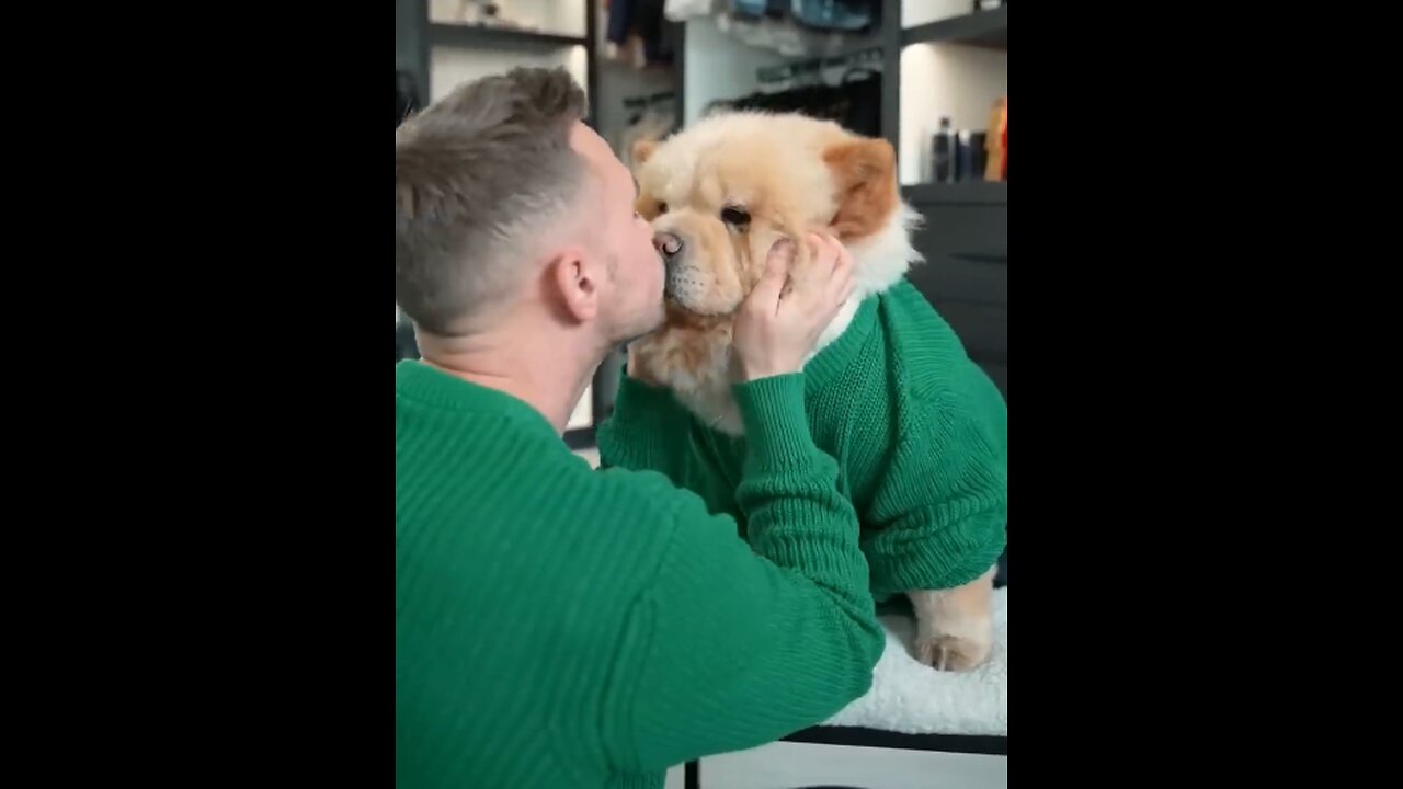 Who wore it best?🐕 OR🧑? #shorts