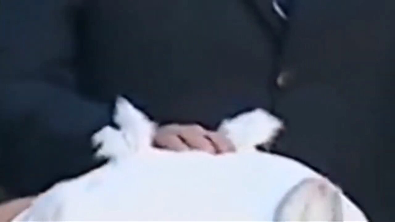 Biden rejected by a baby