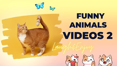 Funny Animals Video Part-2