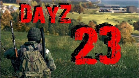 DayZ #23