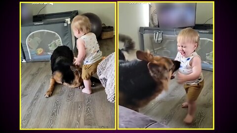 Dog enjoying | with cute little baby | #pets #baby #rumble #funny