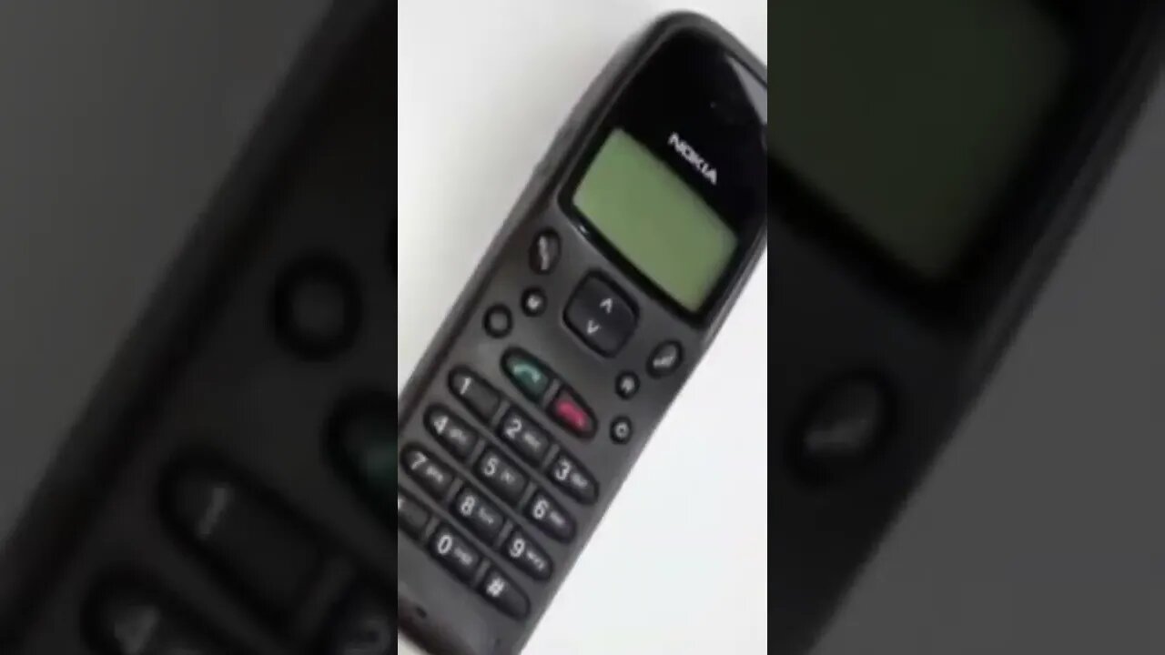 Funny Animals 163 funnycontent707