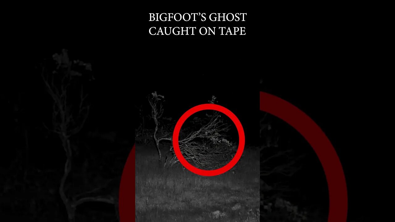 is this BIGFOOT'S GHOST?👣👻 (look closely) #bigfoot #bigfootsghost