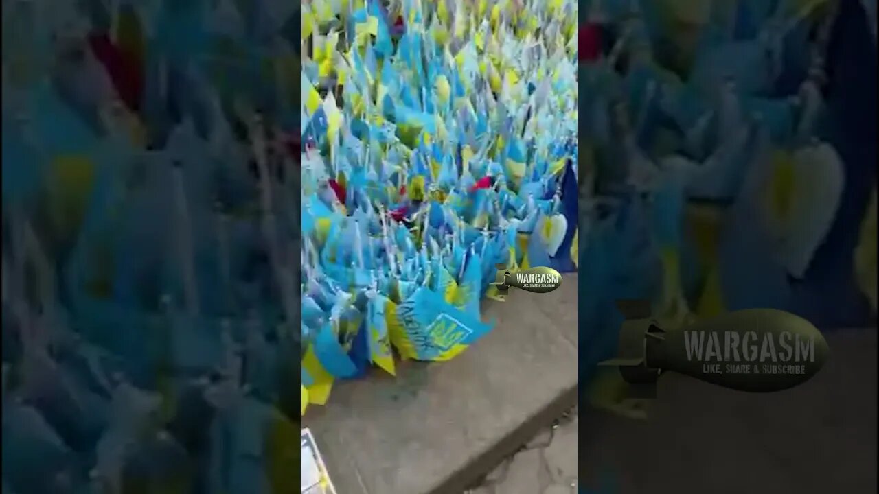 Every little flag represents a fallen Ukrainian soldier