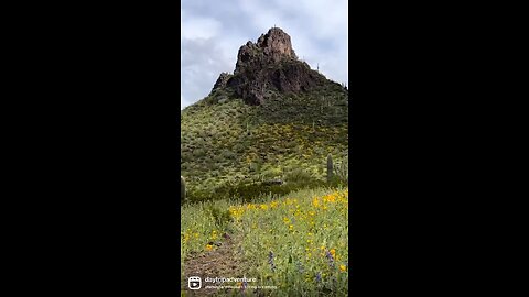 Picacho Peak Super Bloom