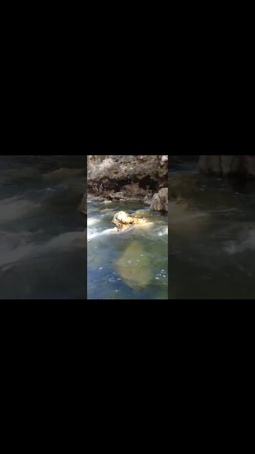 Kettle River Hike 2 - Travel BC