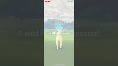 Shiny Compilation